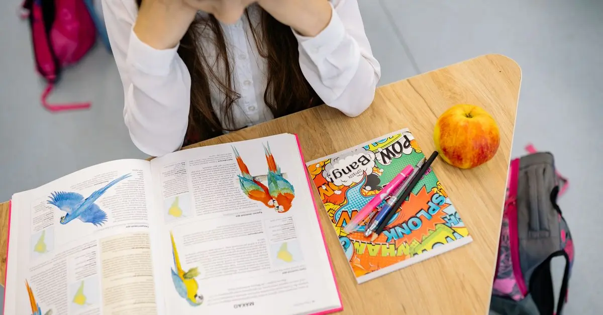 Comment choisir des fournitures scolaires adaptées à chaque élève