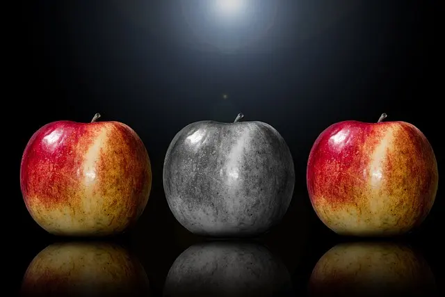 Comment choisir les meilleures fournitures scolaires pour chaque élève