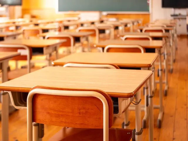 Top 5 des fournitures scolaires innovantes à considérer