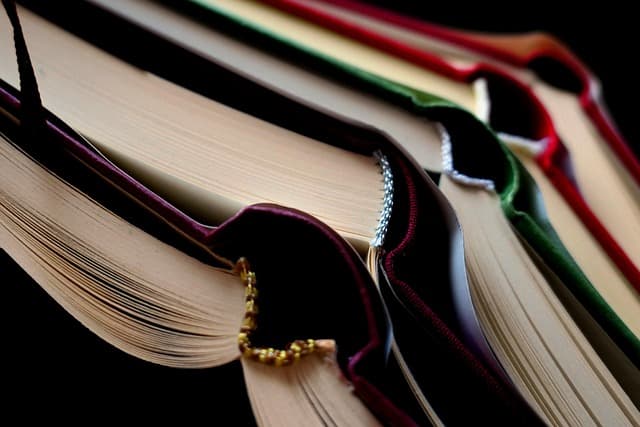 Comment choisir les fournitures scolaires idéales pour votre enfant