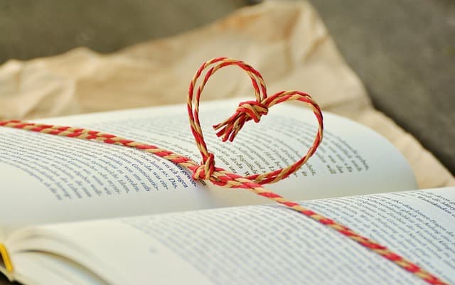 Les Fournitures Scolaires Incontournables pour Un Apprentissage Réussi