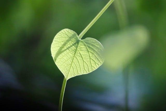 Top 5 des fournitures écologiques à adopter