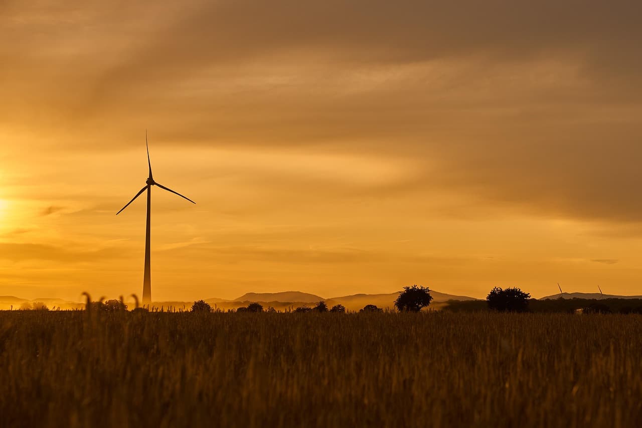 Les Éléments Clés pour Choisir des Fournitures Écologiques