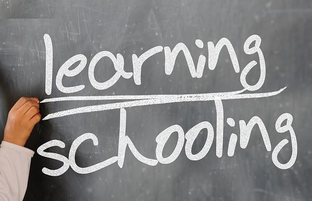 Comment choisir des fournitures scolaires adaptées à chaque niveau